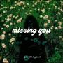 Missing You