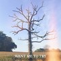 Want Me To Try (Explicit)