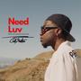 Need Luv (Explicit)