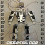 Assemblage (Explicit)