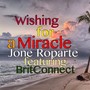 Wishing for a Miracle