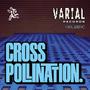 Cross Pollination