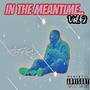 In The Meantime Vol.2 (Explicit)