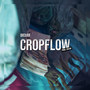 CropFlow (Explicit)