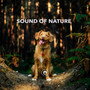 Sound Of Nature