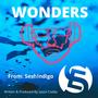 WONDERS (feat. Hans Eberbach)