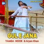 Gule Jana Gul E Jana (Title Song)