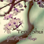 Feng Shui Good Fortune Music: 22 Tracks To Attract Abundance And Money In 2020