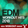 EDM WORKOUT HITS 2018