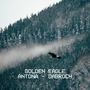 Golden Eagle