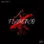 FLAMENCO VOL1