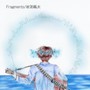 Fragments
