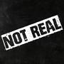 Not Real (Demo)