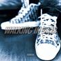 WALKING IN DIOR (Explicit)