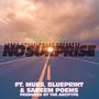 No Surprise (feat. Murs, Blueprint, Sareem Poems & The Arcitype)