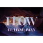 Flow (Explicit)