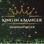 King in A Manger