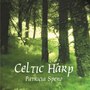 Celtic Harp