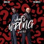 What's Wrong with Us (feat. Kool Ace)