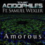 Amorous (feat. The Acidophiles)