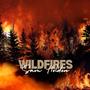 Wildfires