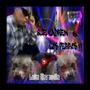 que ladren los perros (Explicit)