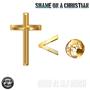 Shame On A Christian (feat. RJ Rush)