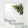 Muzica Ambientala 2019 - Muzică Instrumentală, Muzică de Relaxare