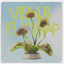 Venus flytrap