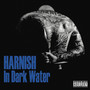 In Dark Water (Explicit)