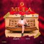 MULA (feat. TTY)