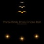 Three Birds from Orions Belt