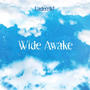 Wide Awake (Explicit)