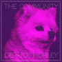 The Community (Explicit)
