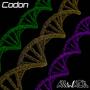 Codon (Explicit)