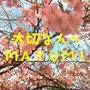 大切な人へ