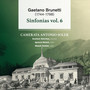 Gaetano Brunetti: Sinfonías Vol. 6