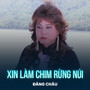 Xin Làm Chim Rừng Núi