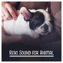 Reiki Sound for Animal: Therapy Music for Dogs, Calming Music for Pets, Release from Anxiety Your Four Legged Friend, Soothing Time