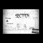 Section remix (feat. Atm Zay7k)