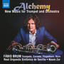 Trumpet and Orchestra Music (21st Century) - ROBERTO, G. / CERVO, D. / TESCARI, N. / ZUR, M. (Alchemy) (Brum, Seville Royal Symphony, N. Zur)