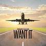 Want It (feat. Sizzle Flame) [Explicit]