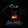 Blind