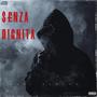 SENZA DIGNITÀ (feat. BABY DENARO) [Explicit]