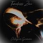 Timeless Zone (Explicit)