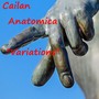 Anatomica