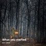 What You Started (Explicit)