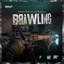 Brawling (feat. Skelly 12k & Wacko Dan) [Explicit]