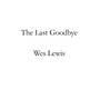 The Last Goodbye