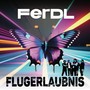 Flugerlaubnis